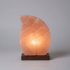 Sunder - Leaf Shape Salt Lamp