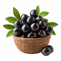 Jamun Basket - Pakistani