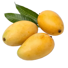 Seasonal Mangoes Basket - Pakistani