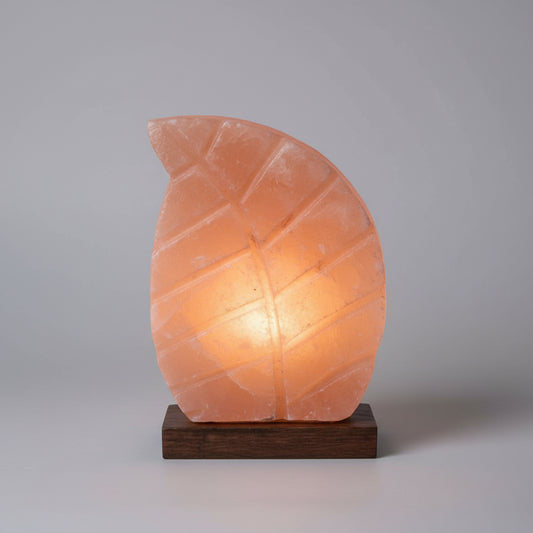 Sunder - Leaf Shape Salt Lamp