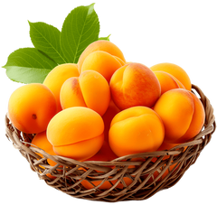 Apricot Basket - Pakistani