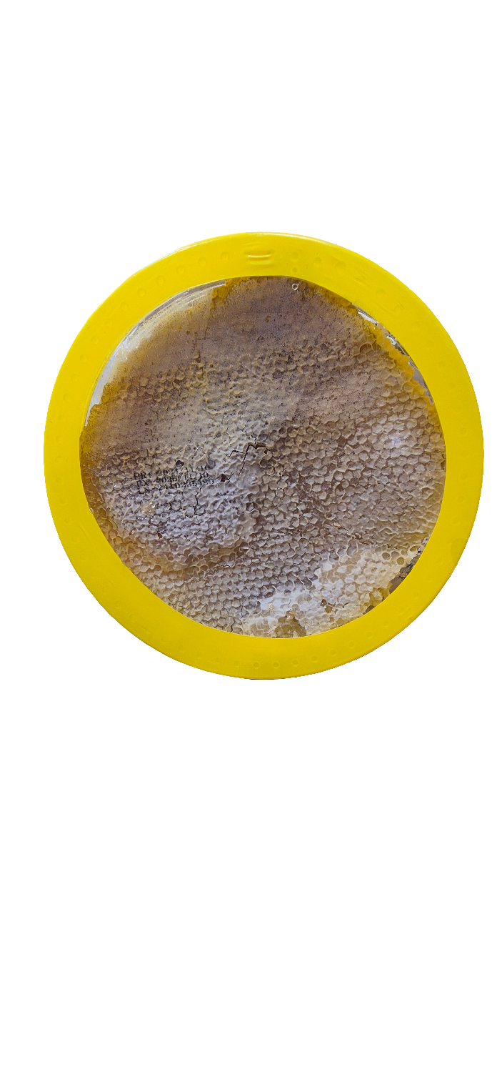 Honey Comb