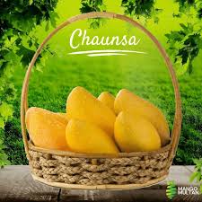 Pakistani Chaunsa Mangoes – 4kg