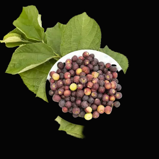Falsa Basket - Pakistani