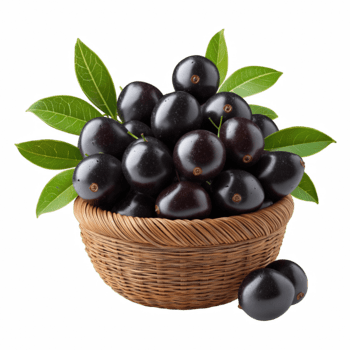Jamun Basket - Pakistani