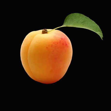 Apricot Basket - Pakistani