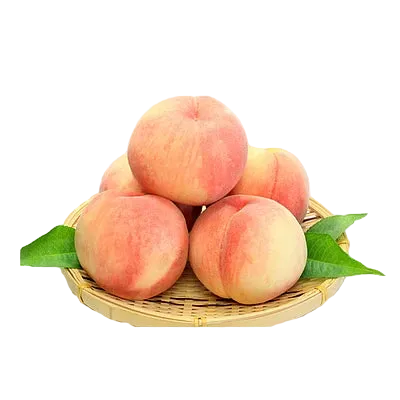 Peach Basket - Pakistani