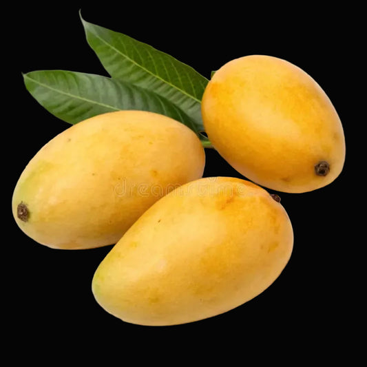 Sindhri Mangoes Basket - Pakistani