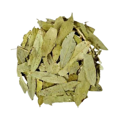 Senna Makki Leaves - 100g
