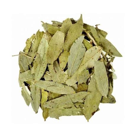Senna Makki Leaves